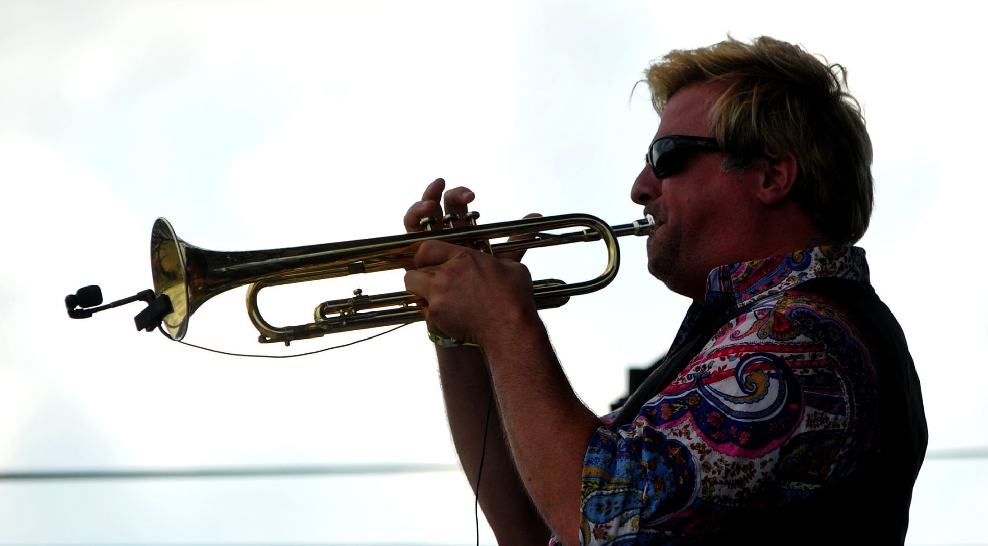 2019 Mississippi Valley Blues Festival
